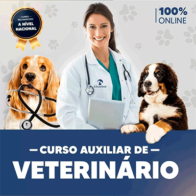 Curso de auxiliar veterinária oferece carta de recomendação para estágio e emprego